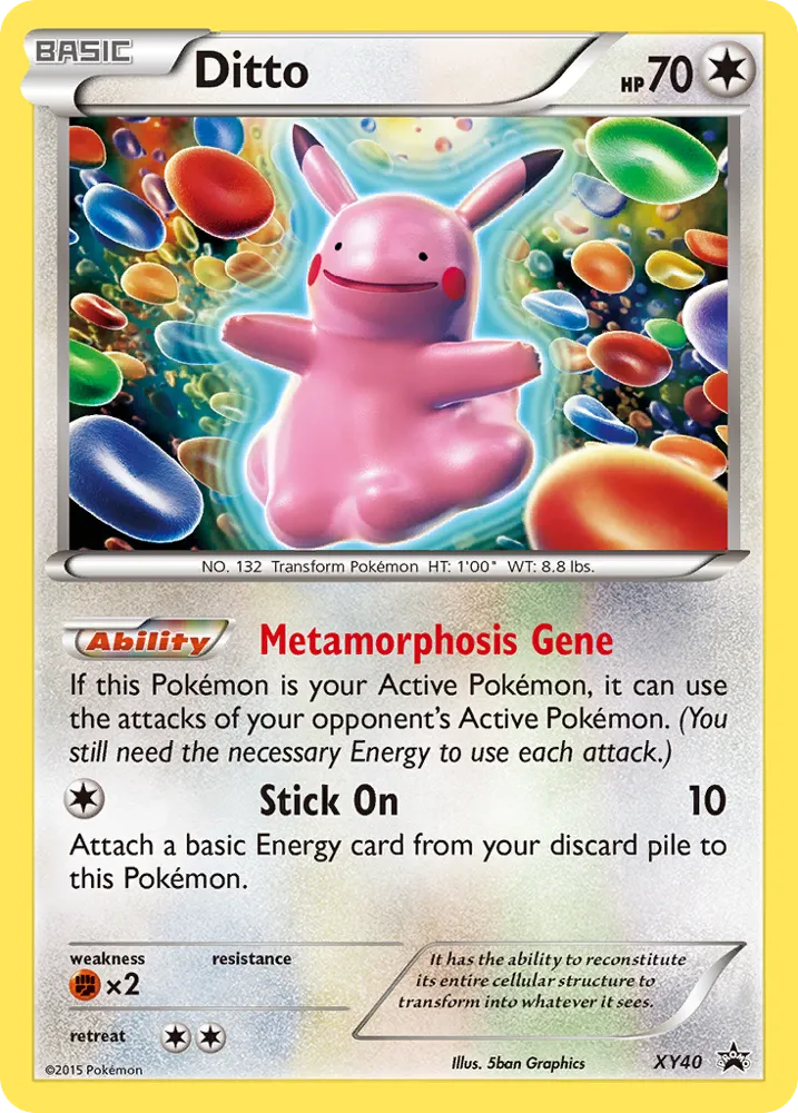 Ditto | XY Black Star Promos